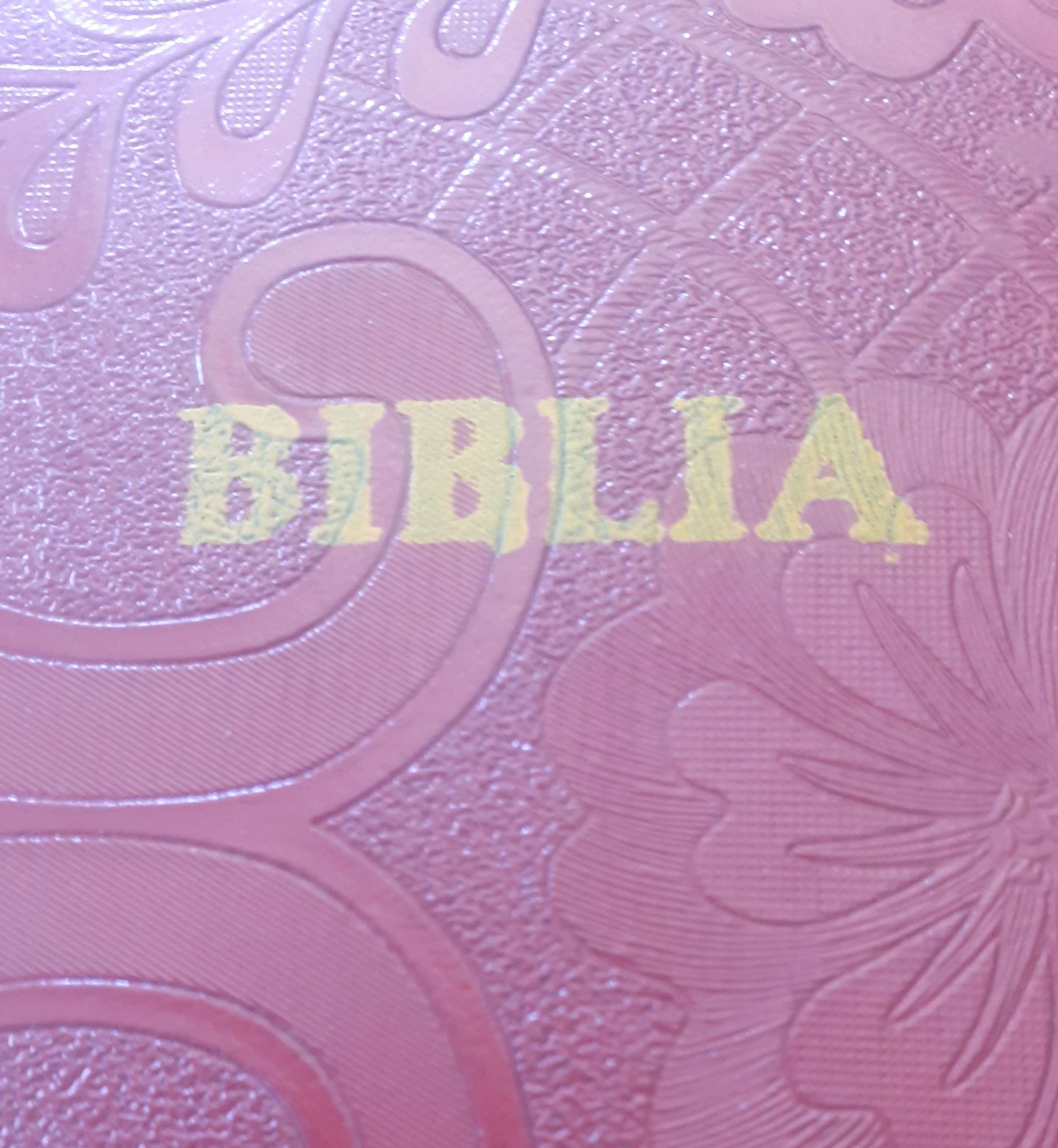 ELIMU YA BIBLIA

by MATHAYO SUDAI